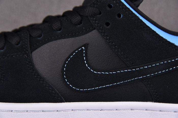 Nike Dunk SB Low“Sub Zero 304292-048