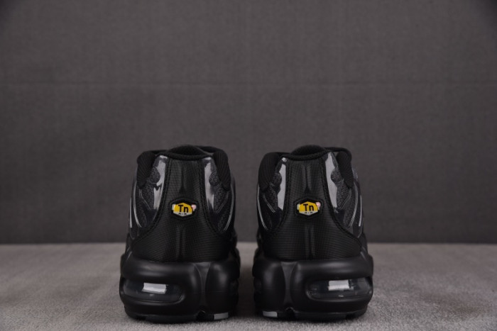 Nike Air Max Plus PSG Paris Saint-Germain Black Particle Grey IB2253-001